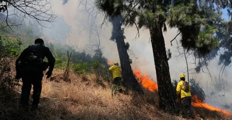 Ecoterrorismo: la nueva frontera ambiental que el Gobierno dominicano debe enfrentar sin excusas