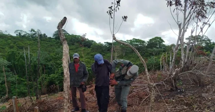 Justicia dominicana impone pena suspendida y restauración ecológica por incendio en parque nacional