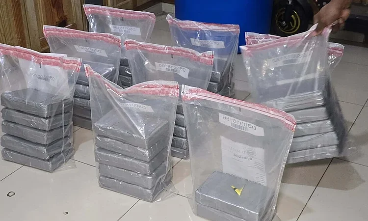 Nuevo golpe al narcotráfico: DNCD intercepta 42 paquetes de cocaína con destino a Francia en Caucedo