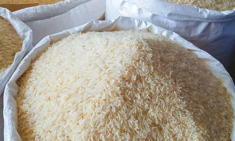 DR-CAFTA reabre debate: Confenagro exige proteger el arroz ante subsidios de EE.UU.
