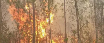 Observatorio declara emergencia ambiental por incendios forestales en República Dominicana