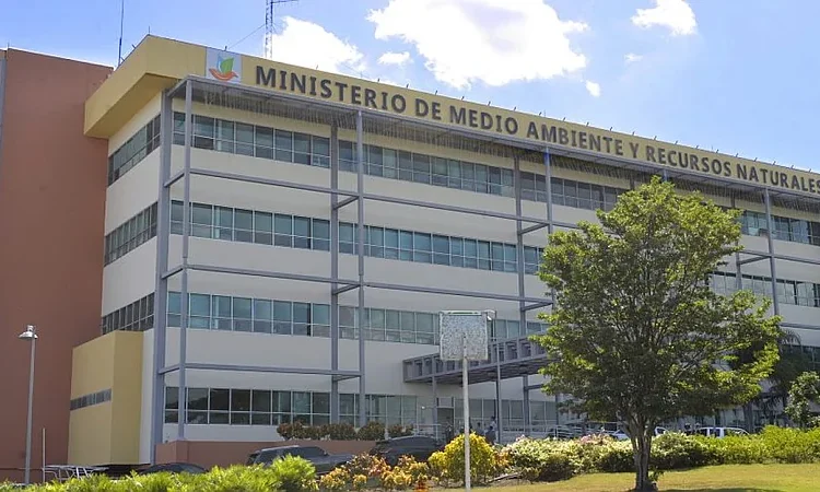 Estado dominicano endurece medidas contra delitos ambientales: prisión preventiva por tala en Valle Nuevo