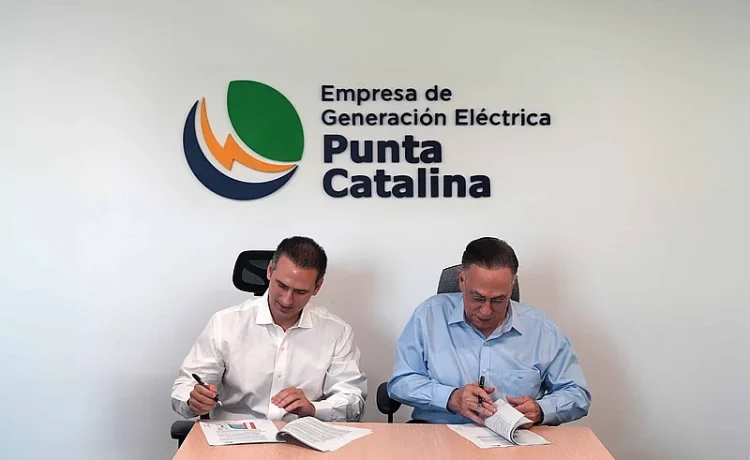 Punta Catalina instalará sistema de baterías para regulación de frecuencia en el SENI
