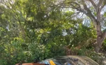 Impacto de caballo en carretera de Santiago deja un conductor herido