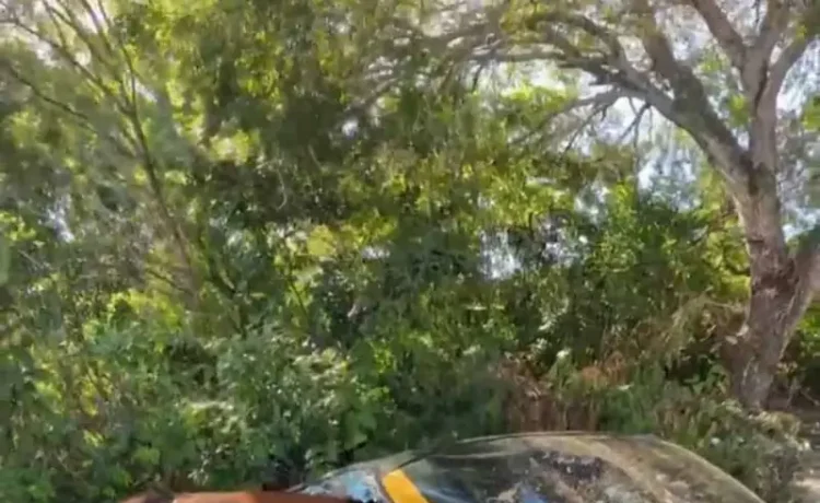 Impacto de caballo en carretera de Santiago deja un conductor herido