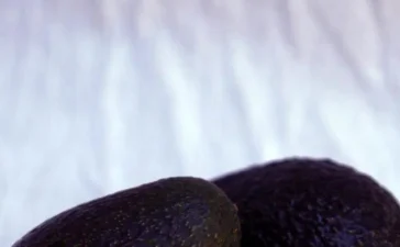 México blinda su aguacate: certificado ambiental contra la deforestación sacude el comercio global