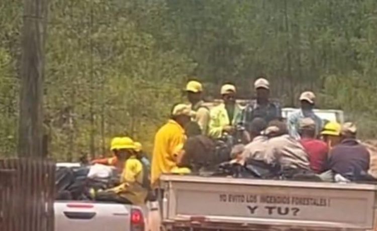 Controlan incendio en la Sierra de Bahoruco: estiman más de 50 mil tareas afectadas