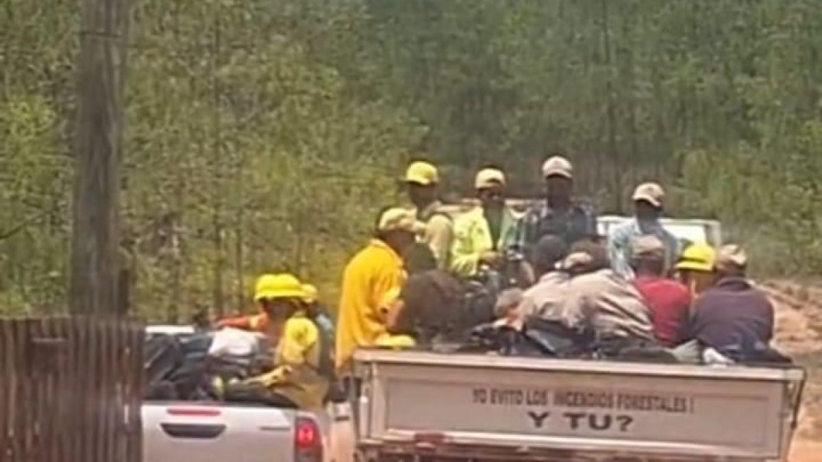 Controlan incendio en la Sierra de Bahoruco: estiman más de 50 mil tareas afectadas