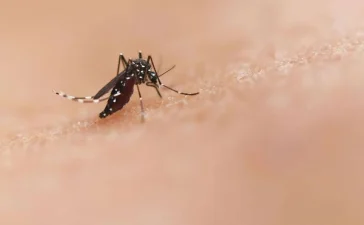 República Dominicana entre los países con menor incidencia de dengue en América, según Salud Pública
