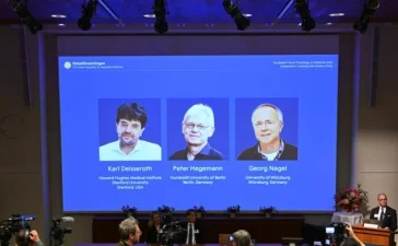 Optogenética gana el Nobel de Medicina 2026: la técnica que ilumina el cerebro y promete restaurar la visión