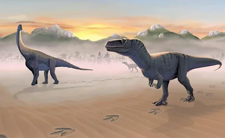 Hallazgo científico: el dinosaurio que estuvo olvidado en un cajón durante 100 años