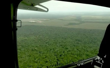 La deforestación global se frena en 2025, pero la política brasileña amenaza la tendencia