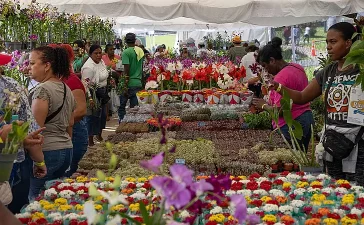 Diáspora y provincias se dan cita en el Festival de Plantas y Flores del Jardín Botánico