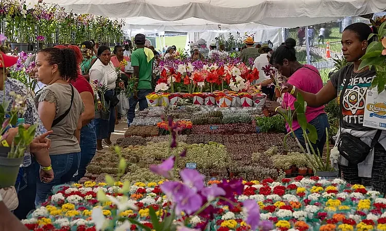 Diáspora y provincias se dan cita en el Festival de Plantas y Flores del Jardín Botánico