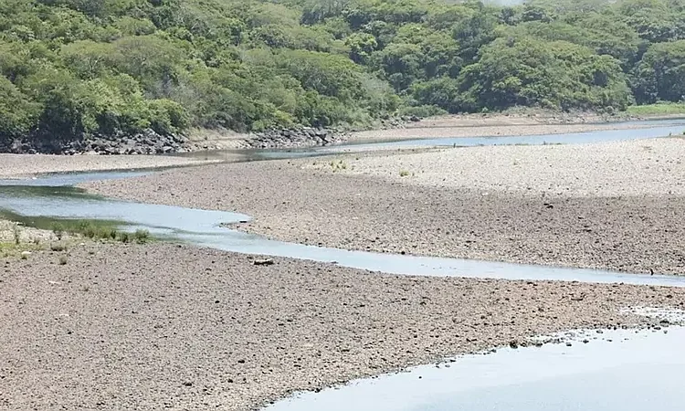 El Niño, un fenómeno 'sin precedentes' que amenaza la economía y el clima global