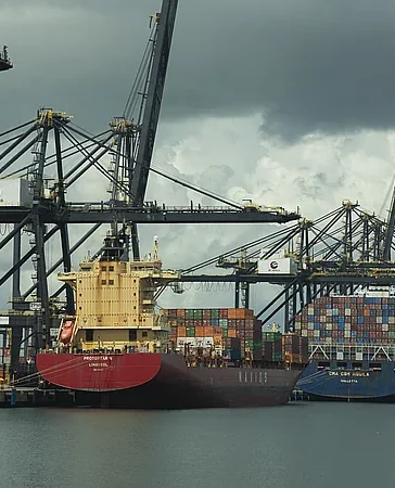 RD sortea arancel de 10.4 % y lidera auge exportador regional con 14 % en 2026