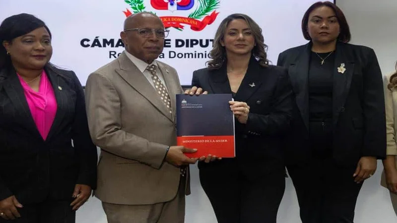 Ley Mirabal: el proyecto que busca castigar hasta con 40 años la violencia vicaria y el feminicidio ampliado