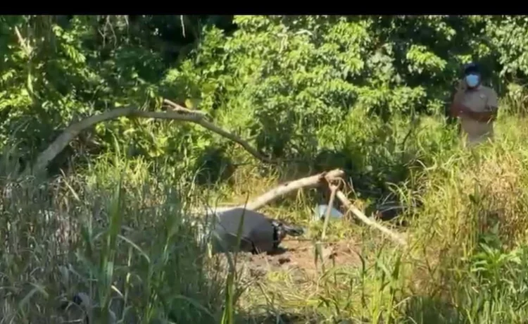 Presunto hallazgo de joven desaparecido en Nagua reaviva debate sobre seguridad y justicia