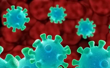 Virus Shamonda da el salto a humanos: primera muerte en Francia alerta a la comunidad sanitaria internacional
