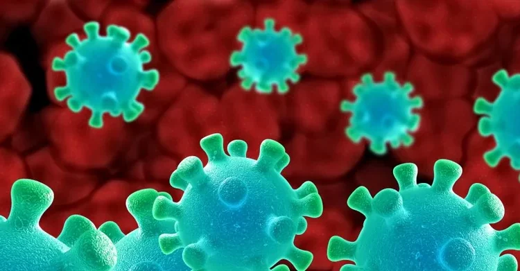 Virus Shamonda da el salto a humanos: primera muerte en Francia alerta a la comunidad sanitaria internacional