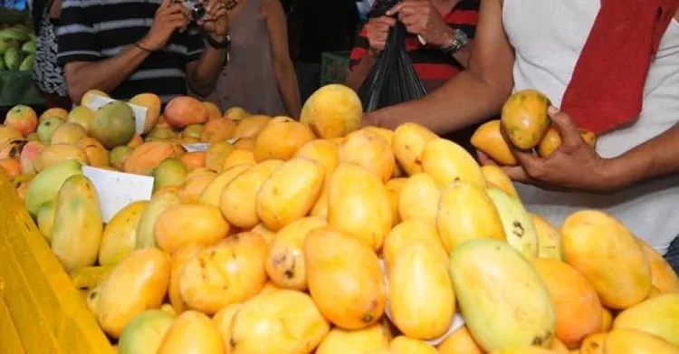 República Dominicana busca recuperar mercado estadounidense del mango con respaldo de OIRSA