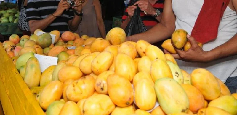 República Dominicana busca recuperar mercado estadounidense del mango con respaldo de OIRSA