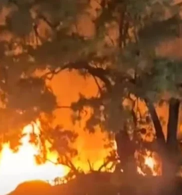 Ataque incendiario contra restaurante Las Dunas en Baní despierta alarma por la seguridad de los negocios