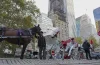 Nueva York pone fin a 150 años de carruajes en Central Park con veto para 2028