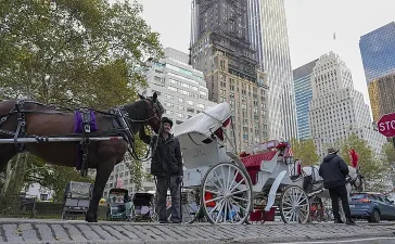Nueva York pone fin a 150 años de carruajes en Central Park con veto para 2028