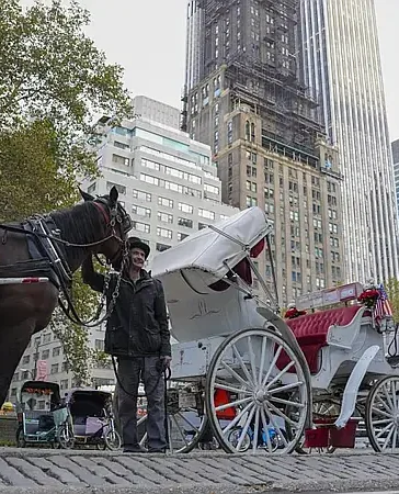 Nueva York pone fin a 150 años de carruajes en Central Park con veto para 2028