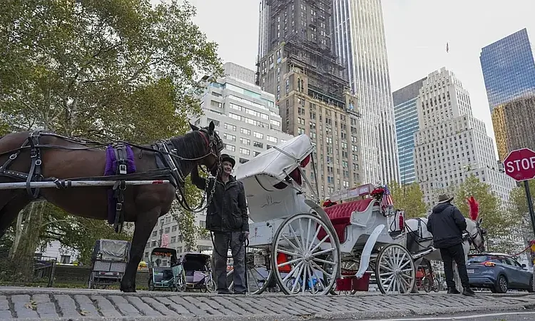 Nueva York pone fin a 150 años de carruajes en Central Park con veto para 2028
