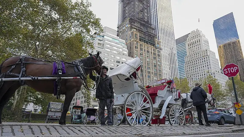 Nueva York pone fin a 150 años de carruajes en Central Park con veto para 2028
