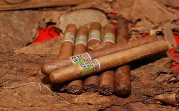 República Dominicana se consolida como potencia tabacalera: proyecta 33,000 toneladas y lidera exportación mundial de cigarros