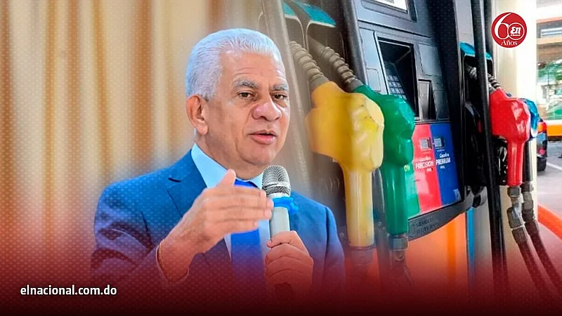 De los Santos: revisar Ley de Hidrocarburos ahora sería 