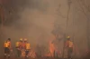 ONU da luz verde a negociar protocolo global contra delitos ambientales con respaldo de 83 países