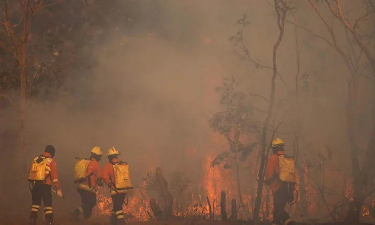 ONU da luz verde a negociar protocolo global contra delitos ambientales con respaldo de 83 países