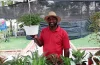 El auge de las plantas ornamentales en República Dominicana: un negocio que crece con inversión accesible