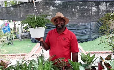 El auge de las plantas ornamentales en República Dominicana: un negocio que crece con inversión accesible