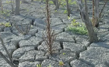 ONU declara 'esfumado' el objetivo de 1,5 °C: el calentamiento global entra en territorio de rebasamiento