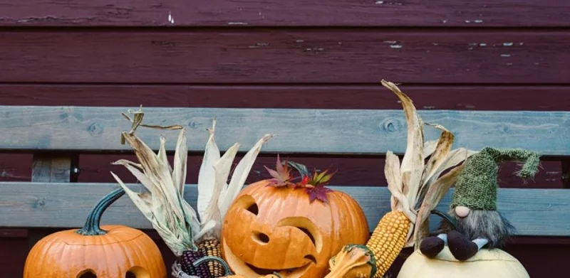 Calabaza: de sustento milenario a ícono global de Halloween