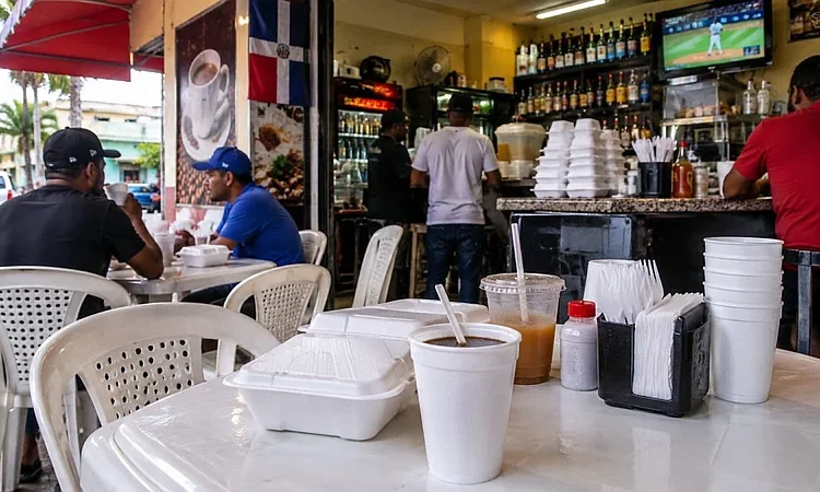Academia dominicana presiona por un campus libre de plásticos: UASD propone eliminar foam y desechables