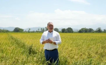 Gobierno dominicano reafirma compromiso con producción nacional de arroz en medio de debate por importaciones