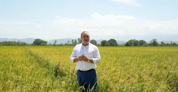 Gobierno dominicano reafirma compromiso con producción nacional de arroz en medio de debate por importaciones