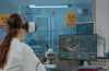 Brecha de género en tecnología se agrava: 58% de mujeres denuncia salario injusto