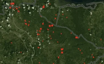 Los Haitises bajo fuego: la crisis ambiental que expone la lucha contra la agricultura ilegal