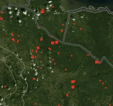 Los Haitises bajo fuego: la crisis ambiental que expone la lucha contra la agricultura ilegal