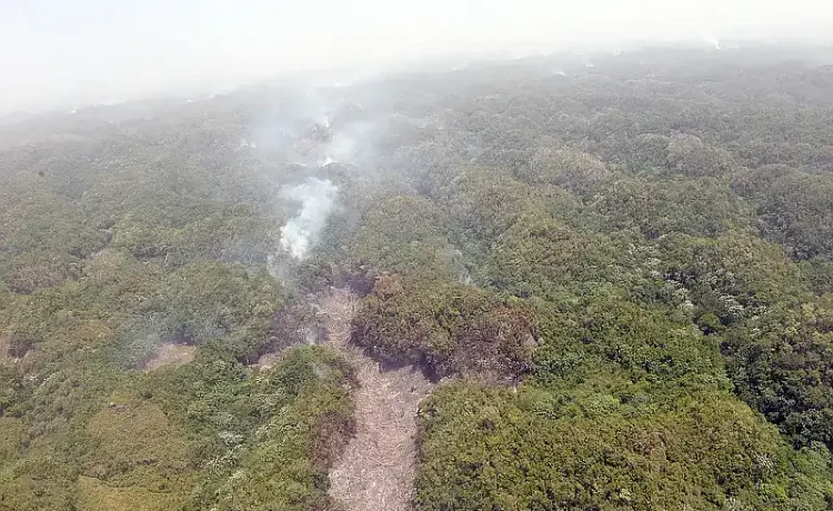 Justicia ambiental: prisión preventiva por daños en Los Haitises marca precedente tras decreto contra terrorismo medioambiental