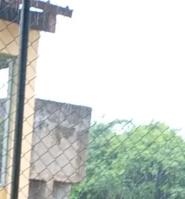 Vaguada paraliza escuelas en el país: Educación suspende docencia en zonas bajo alerta amarilla