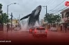 La IA convierte una inundación capitalina en un fenómeno viral con ballena incluida