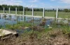 Familias reubicadas por presa Boca de los Ríos siguen sin solución a pozos sépticos colapsados